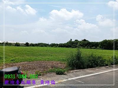 佳里近信義國小農地台南培倫房屋土地王視意圖
