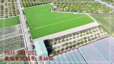 麻豆區南寮段開心農場台南培倫房屋土地王視意圖