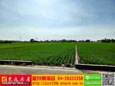 售台中龍井★中華路旁便宜水田農地1,600萬