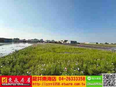 售台中龍井★龍井國小漂亮農地農地1,920萬